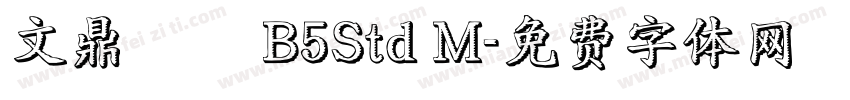 文鼎圓體 B5Std M字体转换